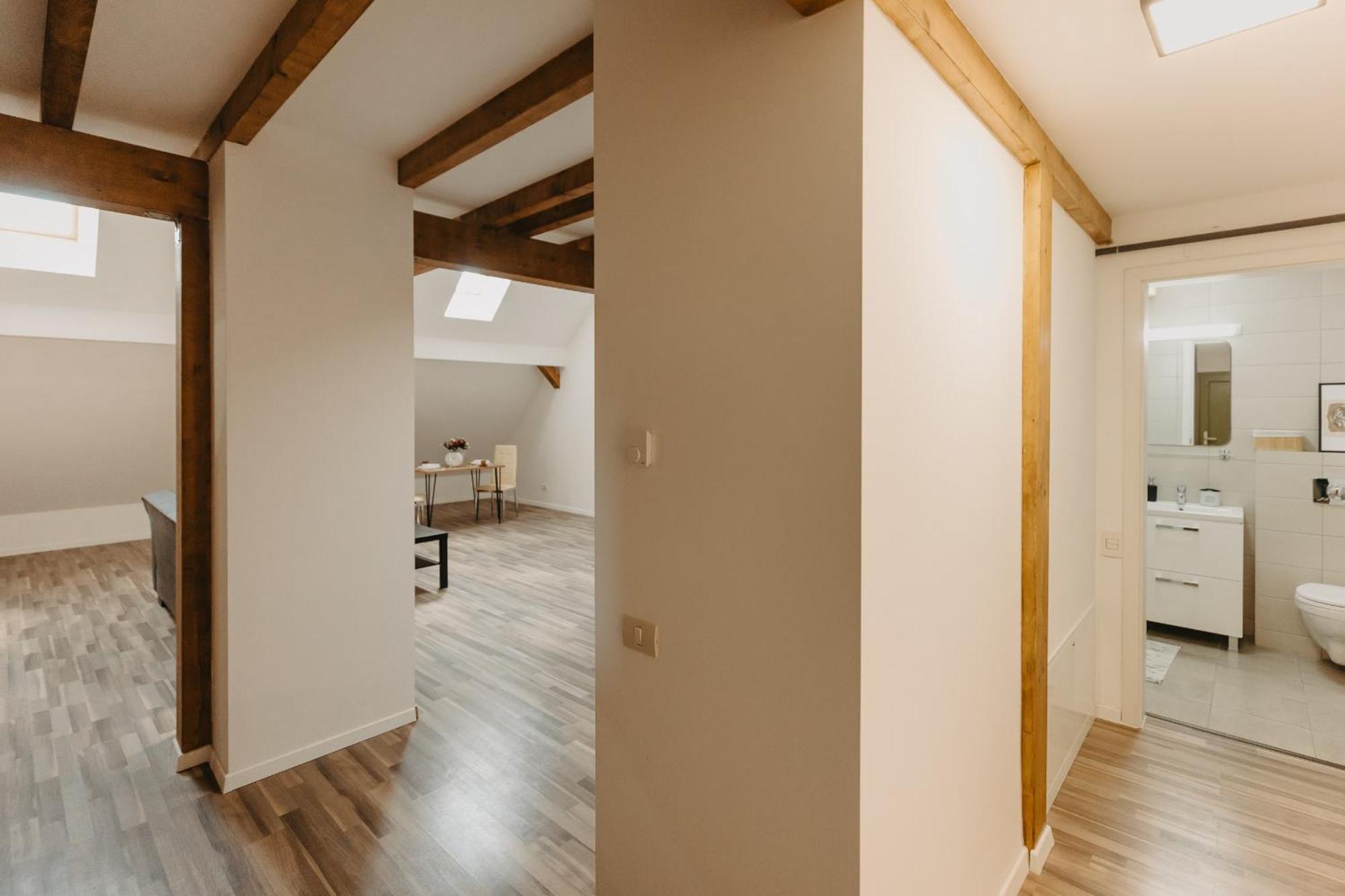 Holiday Apartments Central Тимишоара Екстериор снимка